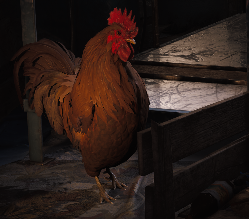 Scrappy Blank Meme Template