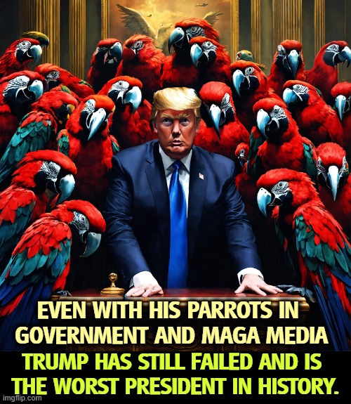 Noise. | EVEN WITH HIS PARROTS IN 
GOVERNMENT AND MAGA MEDIA; TRUMP HAS STILL FAILED AND IS 
THE WORST PRESIDENT IN HISTORY. | image tagged in trump fail even with parrots in government and right wing media,trump,failure,parrots,maga,loser | made w/ Imgflip meme maker