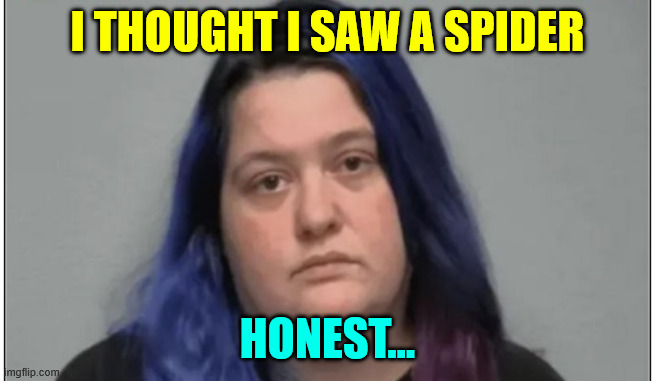 I THOUGHT I SAW A SPIDER HONEST... | made w/ Imgflip meme maker