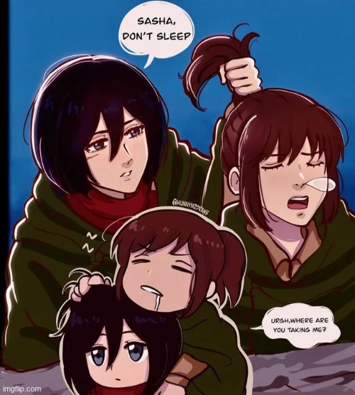image tagged in aot,mikasa,sasha | made w/ Imgflip meme maker
