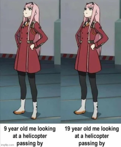 image tagged in darling in the franxx,zero two | made w/ Imgflip meme maker