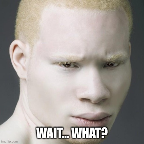 A3 (Albino African American) | WAIT... WHAT? | image tagged in a3 albino african american | made w/ Imgflip meme maker