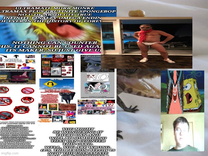 Baby Alligator with Cherios on its head | image tagged in baby alligator with cherios on its head | made w/ Imgflip meme maker