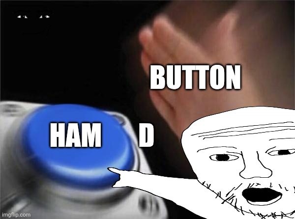 Bugton? | BUTTON; HAM       D | image tagged in memes,blank nut button | made w/ Imgflip meme maker