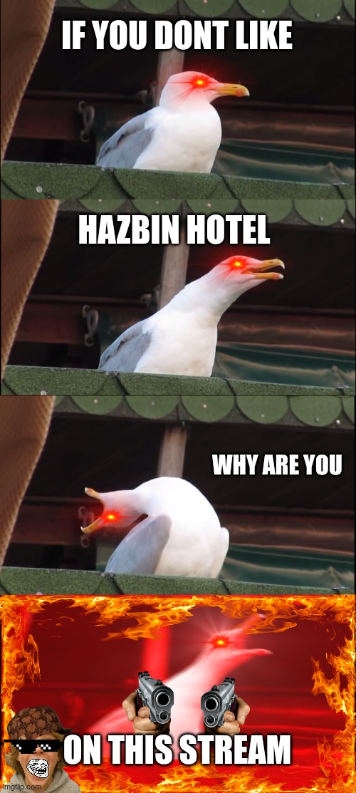 Inhaling Seagull | IF YOU DONT LIKE; HAZBIN HOTEL; WHY ARE YOU; ON THIS STREAM | image tagged in memes,inhaling seagull | made w/ Imgflip meme maker