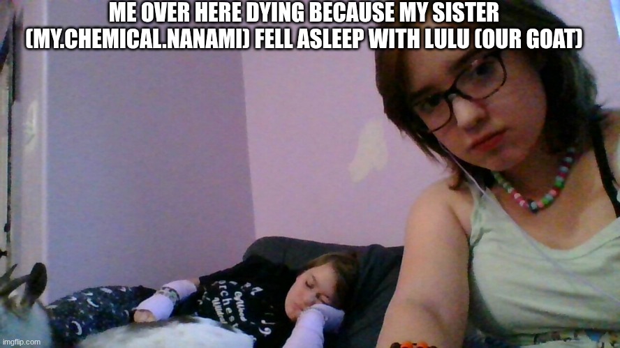 ME OVER HERE DYING BECAUSE MY SISTER (MY.CHEMICAL.NANAMI) FELL ASLEEP WITH LULU (OUR GOAT) | made w/ Imgflip meme maker