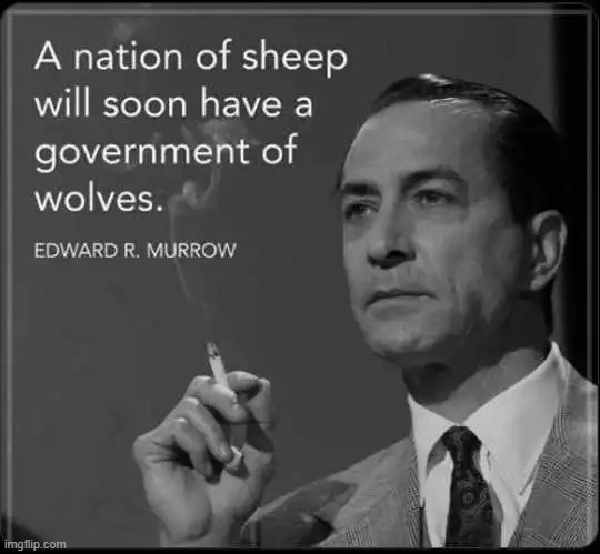 Isn't that the truth? | image tagged in liberals,followers,democrats,sad but true | made w/ Imgflip meme maker