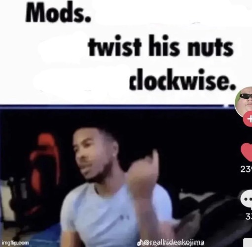 image tagged in mods twist his nuts clockwise | made w/ Imgflip meme maker