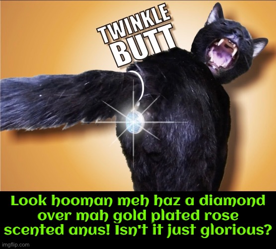 Diamond Booty | Look hooman meh haz a diamond over mah gold plated rose scented anus! Isn't it just glorious? | image tagged in cats,funny cats,superior royalty,diamond,butt,narcissism | made w/ Imgflip meme maker