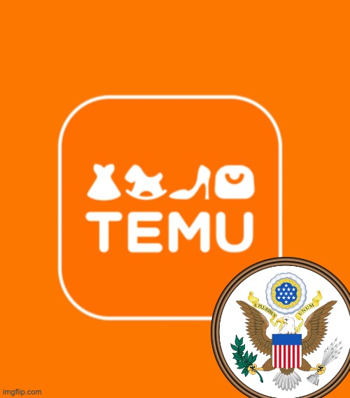 Temu | image tagged in temu | made w/ Imgflip meme maker
