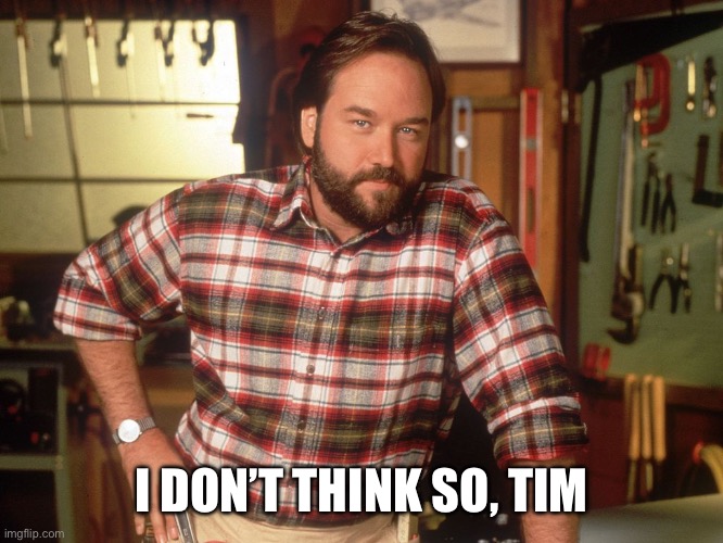 I DON’T THINK SO, TIM | image tagged in i don't think so tim | made w/ Imgflip meme maker
