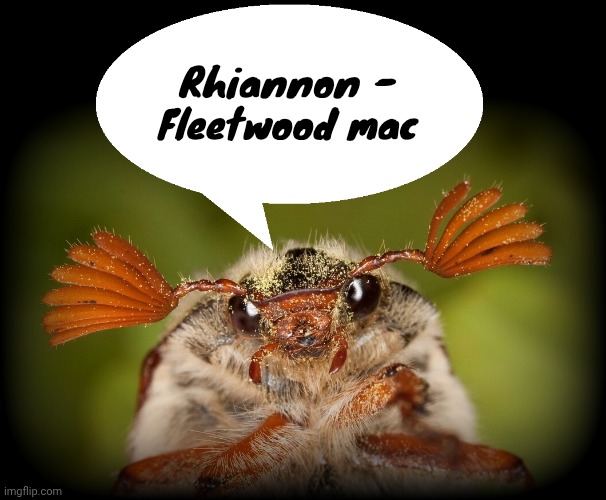 Doodlebug/odd announcement temp | Rhiannon - Fleetwood mac | image tagged in doodlebug/odd announcement temp | made w/ Imgflip meme maker