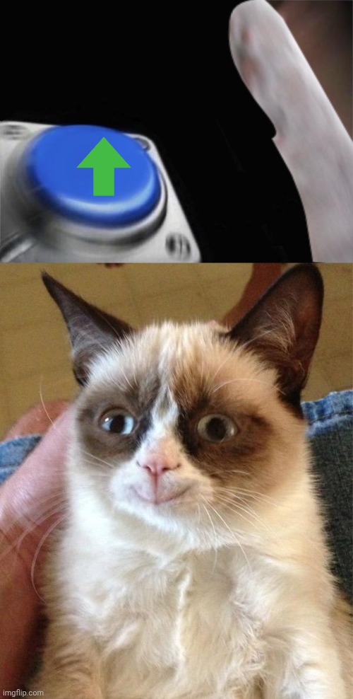 image tagged in grumpy cat blank nut button,memes,grumpy cat happy | made w/ Imgflip meme maker