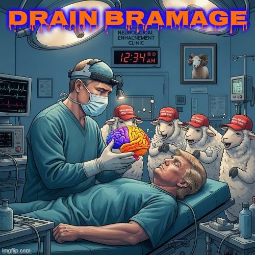DRAIN BRAMAGE | DRAIN BRAMAGE | image tagged in drain bramage,brain damage,trump,putin,maga,brainless | made w/ Imgflip meme maker