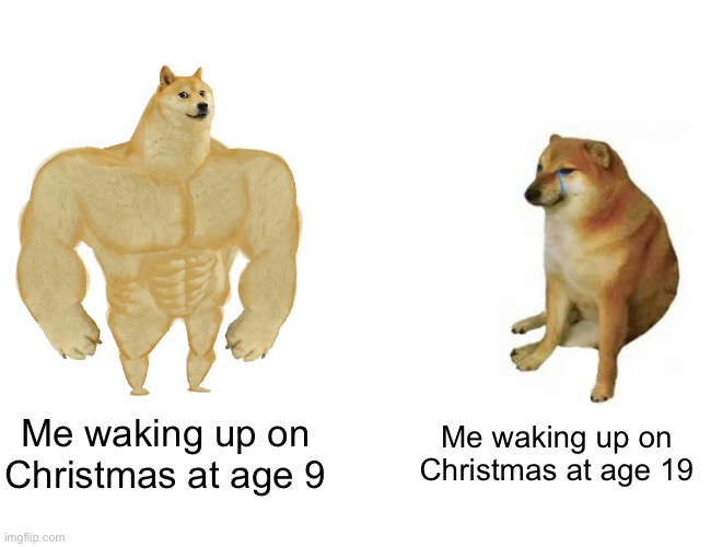 Accurate | Me waking up on Christmas at age 9; Me waking up on Christmas at age 19 | image tagged in memes,buff doge vs cheems | made w/ Imgflip meme maker
