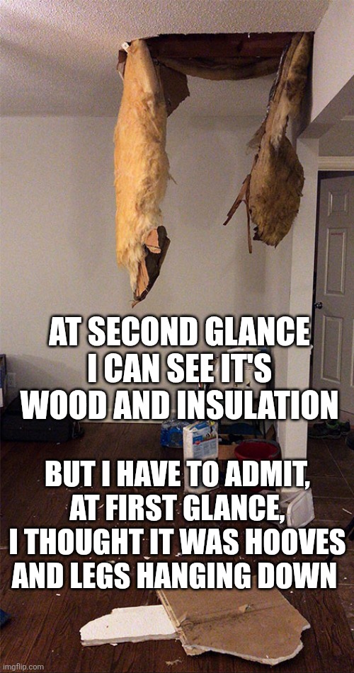 Home renovation fail | AT SECOND GLANCE I CAN SEE IT'S WOOD AND INSULATION; BUT I HAVE TO ADMIT, AT FIRST GLANCE, I THOUGHT IT WAS HOOVES AND LEGS HANGING DOWN | image tagged in home renovation fail | made w/ Imgflip meme maker