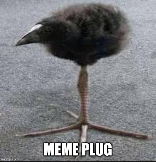 ( kinda] | MEME PLUG | image tagged in tripod bird | made w/ Imgflip meme maker
