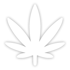 Grand Theft Auto 4 weed leaf Meme Template