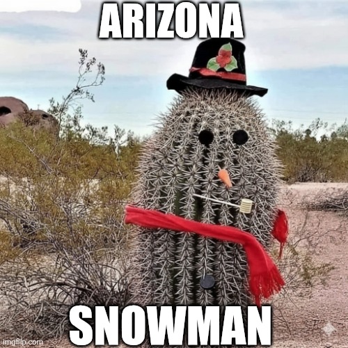 Arizona Snowman | ARIZONA; SNOWMAN | image tagged in chrisjoines1 | made w/ Imgflip meme maker
