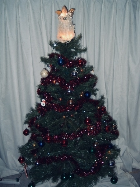 Christmas Tree Mirror Image Mode Blank Meme Template