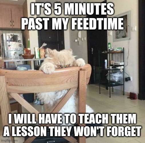 Orange cat | IT'S 5 MINUTES PAST MY FEEDTIME; I WILL HAVE TO TEACH THEM A LESSON THEY WON'T FORGET | image tagged in orange cat | made w/ Imgflip meme maker