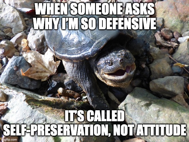 You do what you gotta do | WHEN SOMEONE ASKS WHY I’M SO DEFENSIVE; IT’S CALLED SELF-PRESERVATION, NOT ATTITUDE | image tagged in funny,fun,turtle,animals | made w/ Imgflip meme maker