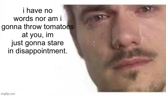 stoopid meme | i have no words nor am i gonna throw tomatoes at you, im just gonna stare in disappointment. | image tagged in bro please bro | made w/ Imgflip meme maker
