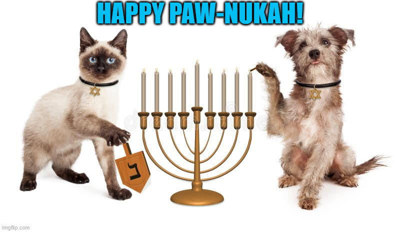 Happy Paw-nukah! | HAPPY PAW-NUKAH! | image tagged in cat,dog,hanukkah | made w/ Imgflip meme maker
