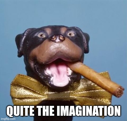 Triumph the Insult Comic Dog | QUITE THE IMAGINATION | image tagged in triumph the insult comic dog | made w/ Imgflip meme maker