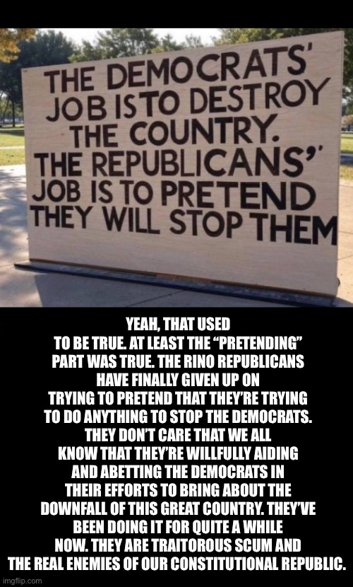 They’re all birds of a traitorous feather… | YEAH, THAT USED TO BE TRUE. AT LEAST THE “PRETENDING” PART WAS TRUE. THE RINO REPUBLICANS HAVE FINALLY GIVEN UP ON TRYING TO PRETEND THAT THEY’RE TRYING TO DO ANYTHING TO STOP THE DEMOCRATS. THEY DON’T CARE THAT WE ALL KNOW THAT THEY’RE WILLFULLY AIDING AND ABETTING THE DEMOCRATS IN THEIR EFFORTS TO BRING ABOUT THE DOWNFALL OF THIS GREAT COUNTRY. THEY’VE BEEN DOING IT FOR QUITE A WHILE NOW. THEY ARE TRAITOROUS SCUM AND THE REAL ENEMIES OF OUR CONSTITUTIONAL REPUBLIC. | image tagged in political meme,rinos,uniparty,pretending,democrats | made w/ Imgflip meme maker