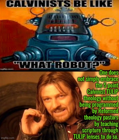 Programmed By TULIP Pastors | One does not simply embrace the 5 point Calvinist TULIP theology without being programmed by Reformed theology pastors by teaching scripture through TULIP lenses to do so. | image tagged in one does not simply,calvinism,calvinist memes,tulip ai corpse theology,anti calvinism,reformed theology | made w/ Imgflip meme maker