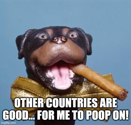 Triumph the Insult Comic Dog | OTHER COUNTRIES ARE GOOD... FOR ME TO POOP ON! | image tagged in triumph the insult comic dog | made w/ Imgflip meme maker