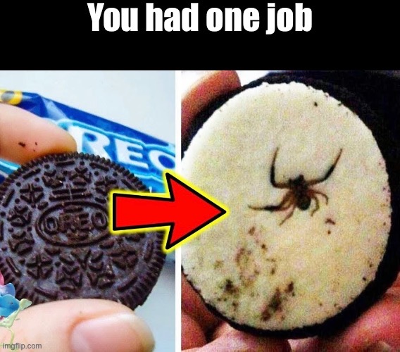 Oreo Spider | image tagged in you had one job,what a terrible day to have eyes,spiders,arachnophobia,oreos,fail army | made w/ Imgflip meme maker