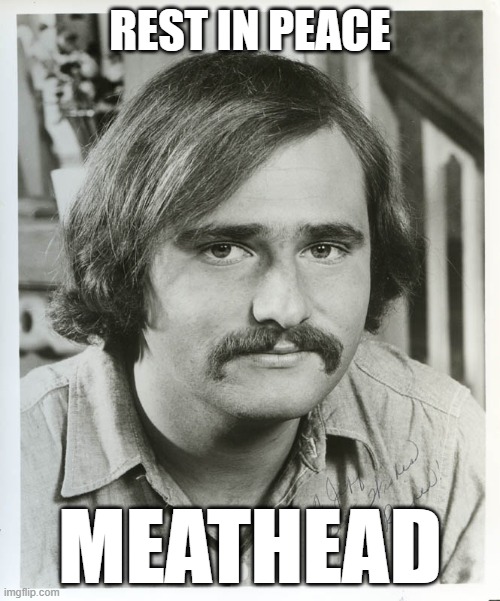 All In The Family | REST IN PEACE; MEATHEAD | image tagged in hollywood,tv shows,1970's,1970s | made w/ Imgflip meme maker