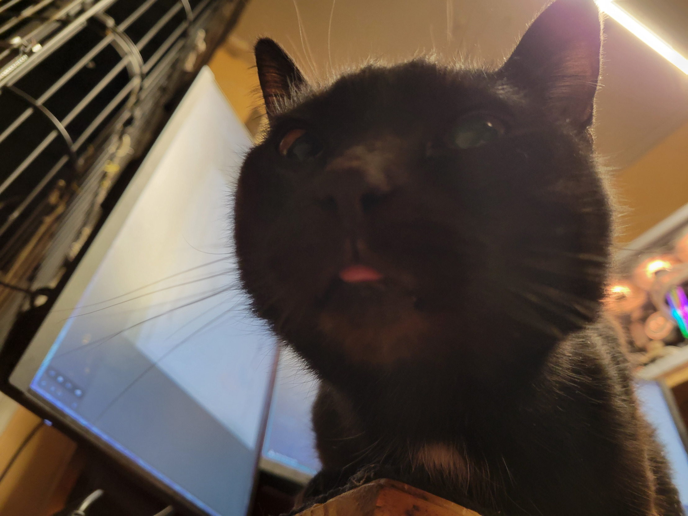 Peanuts Father Blank Meme Template