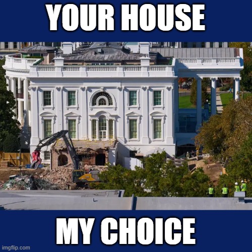 Grab 'em by the historical monument | YOUR HOUSE; MY CHOICE | image tagged in white house demo photo,rape culture,historical,make america great again,trump,grab them by the pussy | made w/ Imgflip meme maker