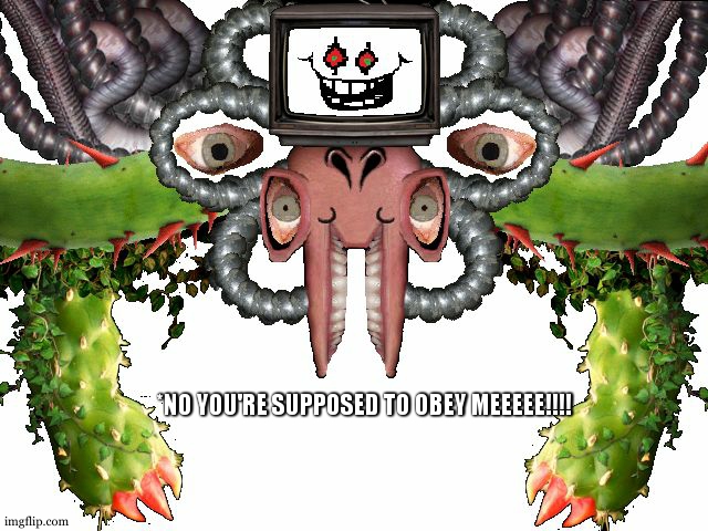 Omega Flowey | *NO YOU'RE SUPPOSED TO OBEY MEEEEE!!!! | image tagged in omega flowey | made w/ Imgflip meme maker