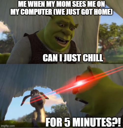 i just got on chill | ME WHEN MY MOM SEES ME ON MY COMPUTER (WE JUST GOT HOME); CAN I JUST CHILL; FOR 5 MINUTES?! | image tagged in shrek for five minutes,computer,mom,chillin | made w/ Imgflip meme maker
