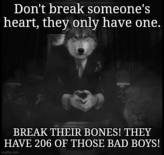 Wolf on a chair | Don't break someone's heart, they only have one. BREAK THEIR BONES! THEY HAVE 206 OF THOSE BAD BOYS! | image tagged in wolf on a chair | made w/ Imgflip meme maker