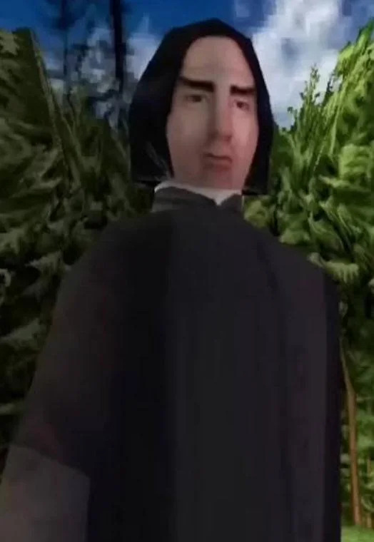 Snape Blank Meme Template