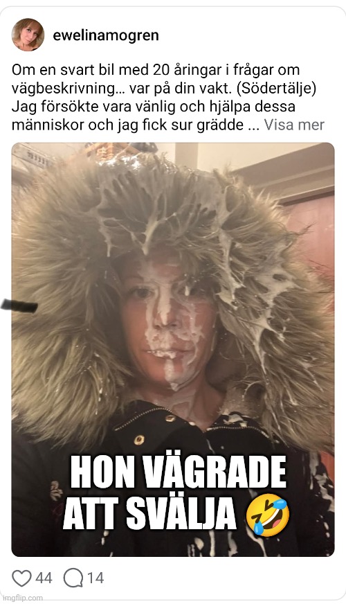 Evelina Mogren Svalde Inte ? Blank Meme Template