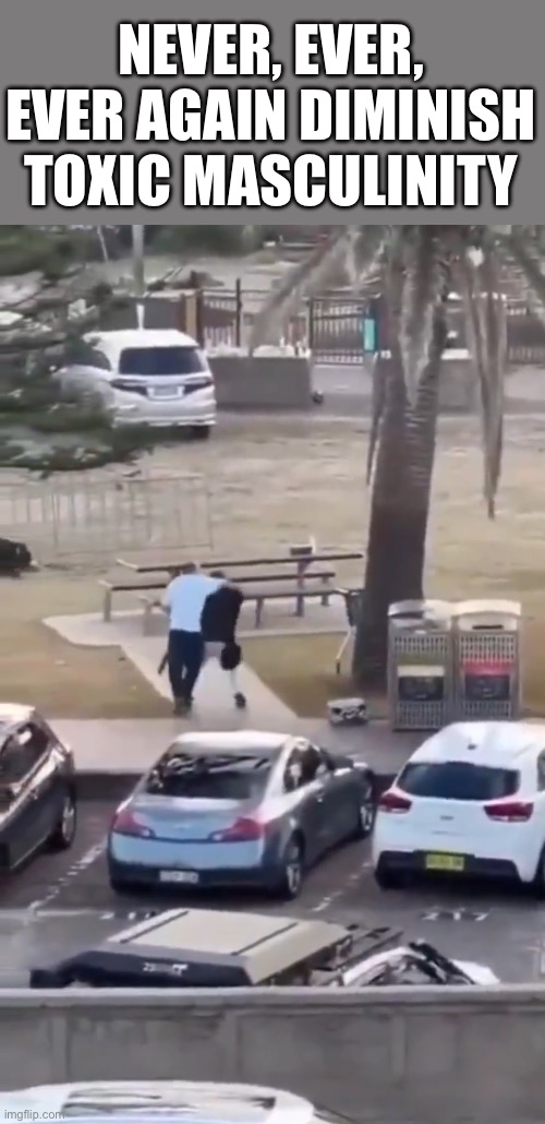 Hero tackles and disarms terrorist shooter. I choose the man over the bear in the woods any day. | NEVER, EVER, EVER AGAIN DIMINISH TOXIC MASCULINITY | image tagged in shooter,hero,disarms,toxic masculinity | made w/ Imgflip meme maker