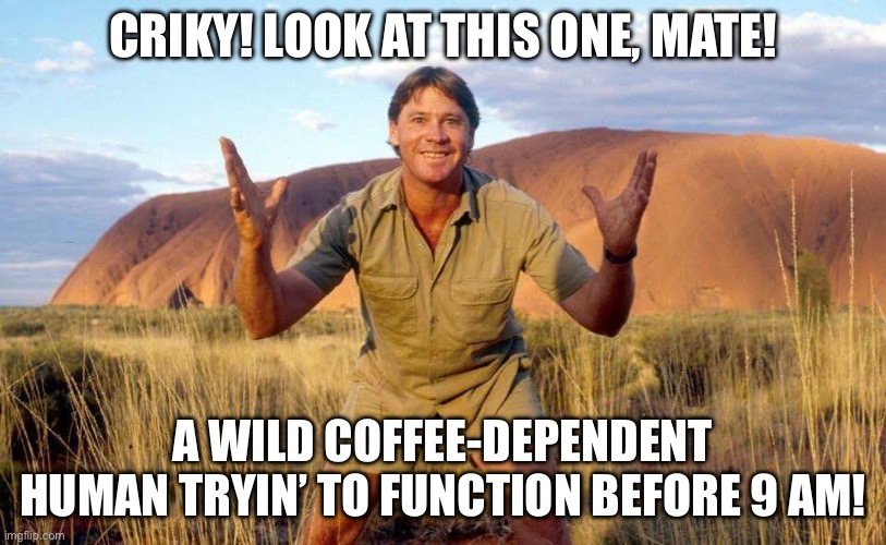 A WILD COFFEE-DEPENDENT HUMAN TRYIN’ TO FUNCTION BEFORE 9 AM! | CRIKY! LOOK AT THIS ONE, MATE! A WILD COFFEE-DEPENDENT HUMAN TRYIN’ TO FUNCTION BEFORE 9 AM! | image tagged in steve irwin crocodile hunter,coffee addict,coffee,waking up brain,wake up,coffee time | made w/ Imgflip meme maker