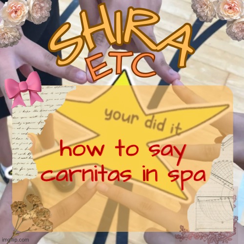 bruh where’d my text box go | how to say carnitas in spa | image tagged in shira s best temp | made w/ Imgflip meme maker