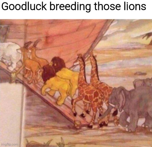 Goodluck breeding those lions | image tagged in memes,funny,funny memes,meme | made w/ Imgflip meme maker