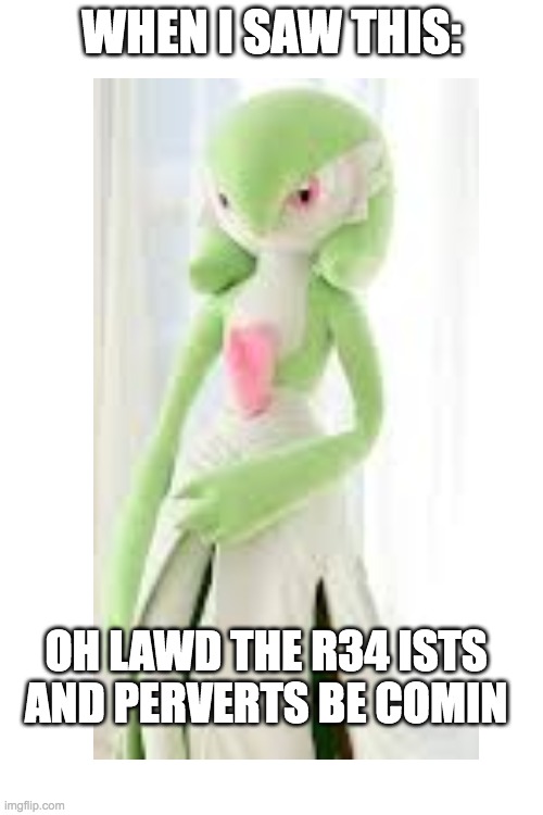 why does this exist | WHEN I SAW THIS:; OH LAWD THE R34 ISTS AND PERVERTS BE COMIN | image tagged in r34,plush,gardevoir | made w/ Imgflip meme maker