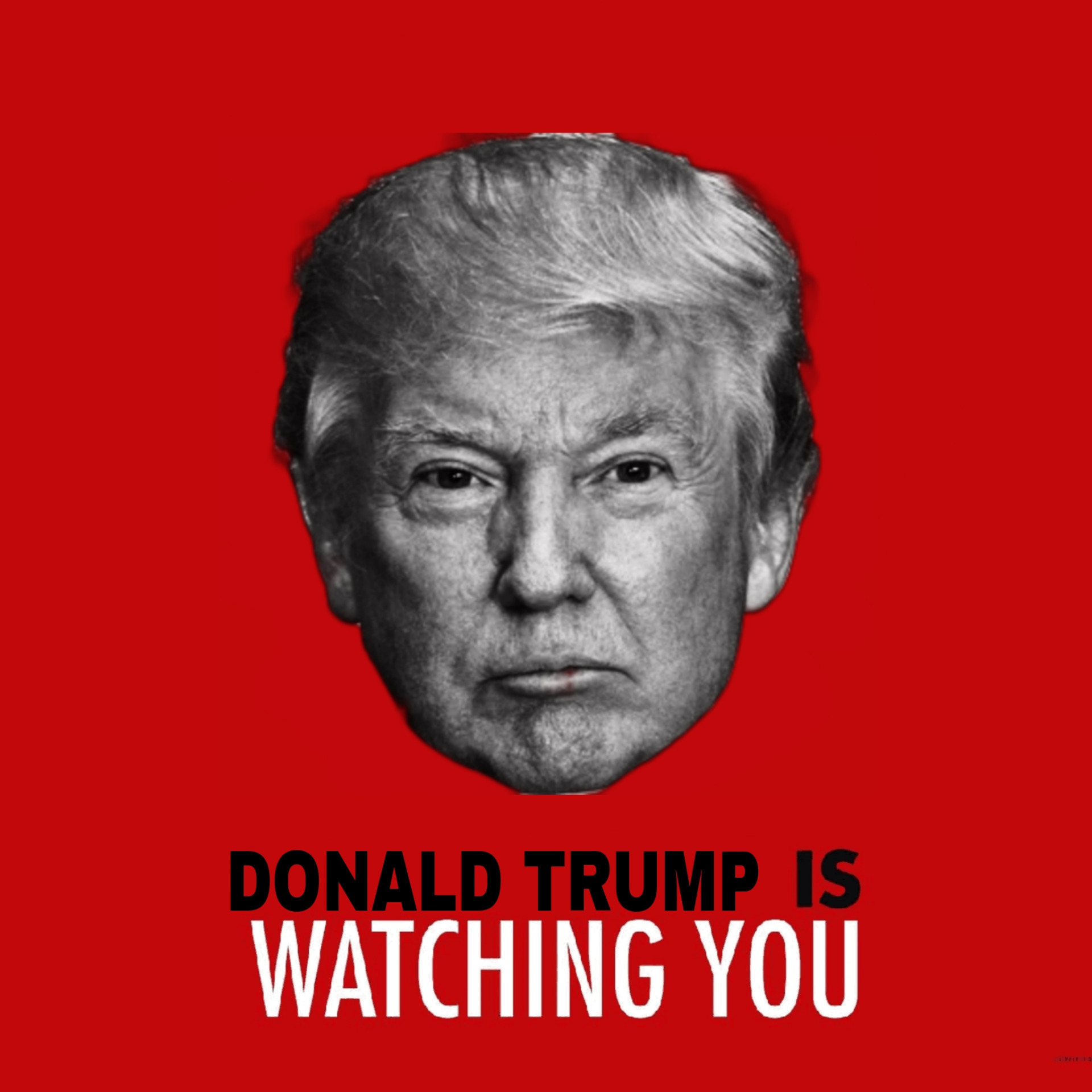 Donald Trump is watching you Blank Meme Template