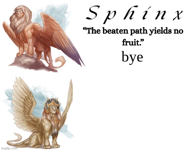 Spinx (aka erocitnaM) | bye | image tagged in spinx aka erocitnam | made w/ Imgflip meme maker