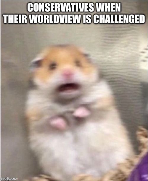 They are afraid, and also afraid to face their fears | CONSERVATIVES WHEN THEIR WORLDVIEW IS CHALLENGED | image tagged in scared hamster,conservatives,fear | made w/ Imgflip meme maker