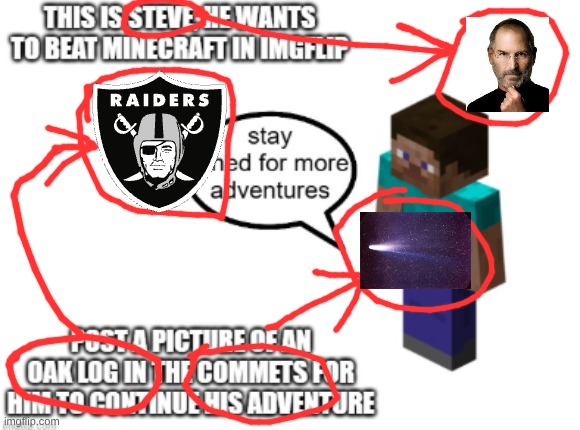 IS THAT A OAKLAND RAIDERS REFERENCE | image tagged in raiders,minecraft,steve jobs,comet | made w/ Imgflip meme maker